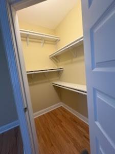 319 W Chelten Ave, 302, Philadelphia, PA 19144